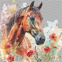 Animal Integration-DW 415